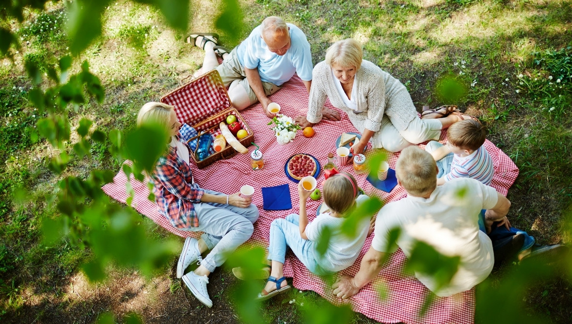 Olde Fashioned Family Picnic