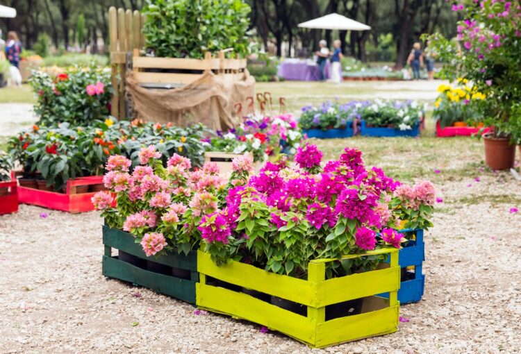 FOSH garden fair